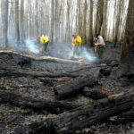 coopers rock bushfire